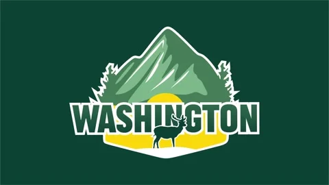 Washington State with beautiful mountain views Stock Footage 317474047