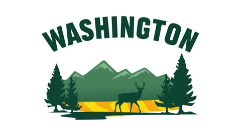 Washington State with beautiful mountain views 動画素材 317474058
