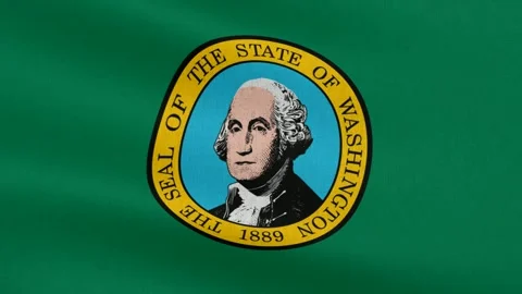 Washington State Flag, Cotton Fabric Stock Footage 299082106
