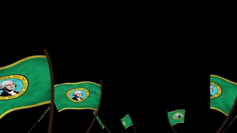 Washington State Flags Waving Crowd. Realistic 4K 60fps Seamless Loop Stock Footage 338406142