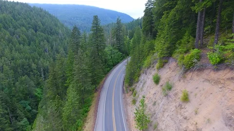 Washington State Highway 101 through green pine trees. Video stock 96374337