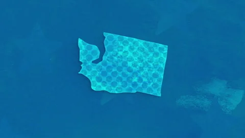Washington State Map with Blue Dotted Texture Vídeos de archivo 347287750