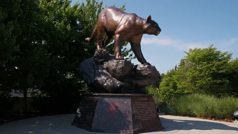 Washington State University Cougar Pullman Stock Footage 128145110