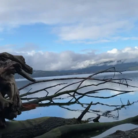 Washington State Water Views Stock Footage 282388272