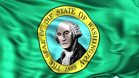 Washington State Waving Flag Background Stock Footage 204139731