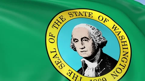 Washington State Waving Flag Background Loop Stock Footage 317847327