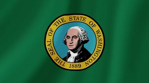 Washington State Waving Flag – Realistic Loop Animation Video stock 292325004