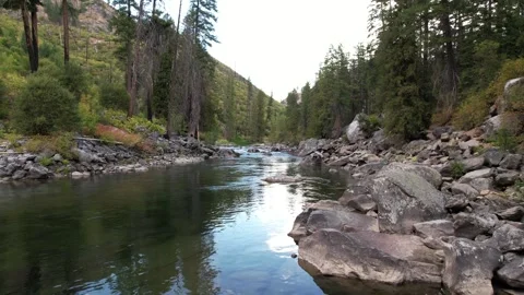 Washington State Winding River Drone Low to High in Pacific Northwest Fores.. Stock Footage 345276835