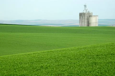 Washington walla pea fields silo grainery blue Foto stock