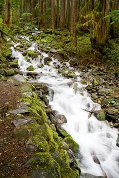 Washington Waterfall Stock Photos