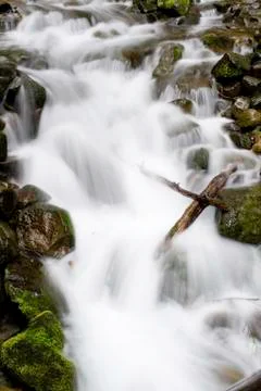 Washington Waterfall 写真素材