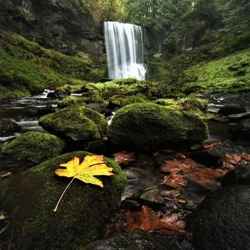 Washington waterfall 库存照片