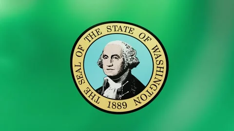 Washington Waving flag Stock Footage 303032461