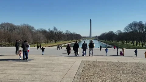 WashingtonDc Video stock 242628006