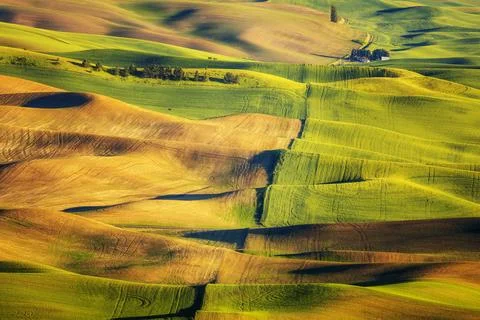 Washington's Palouse Stock Photos