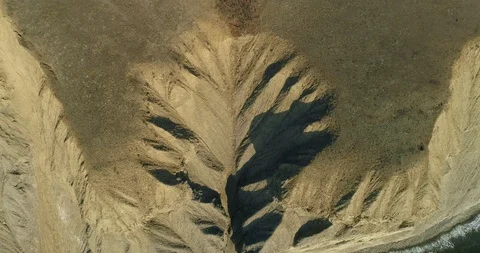 Washout like a tree Vídeo Stock 103972078