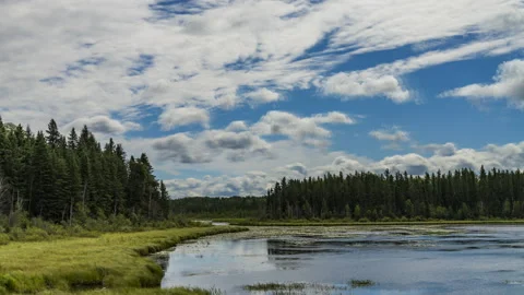 Waskesiu Forest Pond with clouds - 4K Stock Footage 228348589