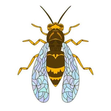 Wasp bee outline realistic. Vector graphic illustration. Summer vector illust Illustrazione stock