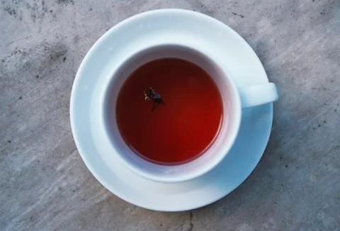A wasp floating in a cup of tea Foto stock