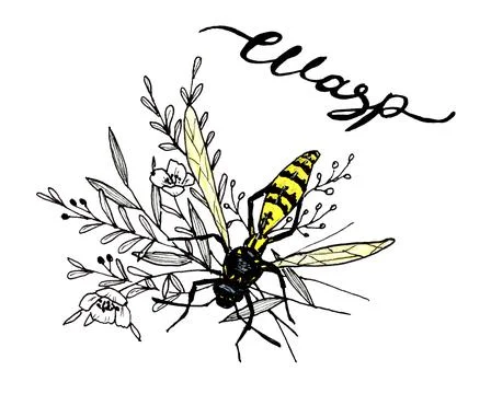 Wasp on herbs with lettering Stock Illustration