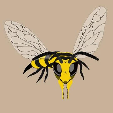 Wasp Stock-Illustration