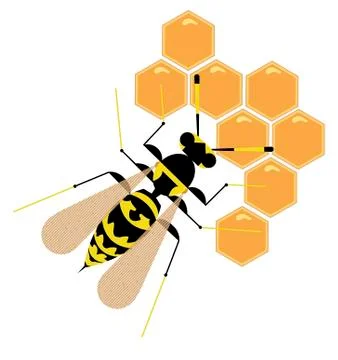 Wasp Stock Illustration