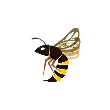Wasp insect icon vector Illustrazione stock