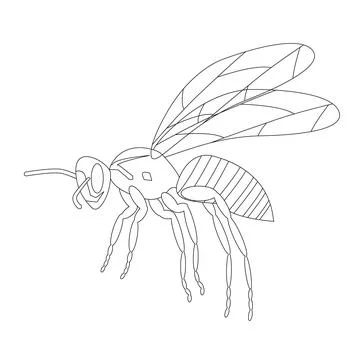 Wasp isolated on a white background. A wild insect. Outline. Vector. Stock Illustration