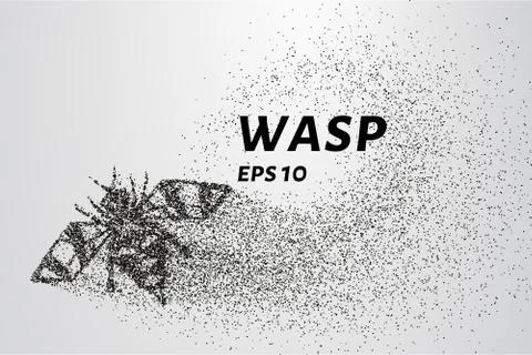 Wasp of the particles. Wasp consists of circles and points. Vector illustra.. Stock Illustration
