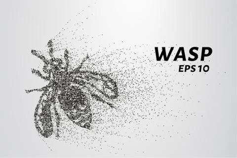 Wasp of the particles. Wasp consists of circles and points. Vector illustra.. Stock Illustration