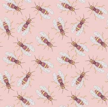 Wasp pattern outline realistic. Vector graphic illustration. Summer vector il Illustrazione stock