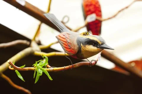 Wasp sitting on a ceramic bird Foto stock