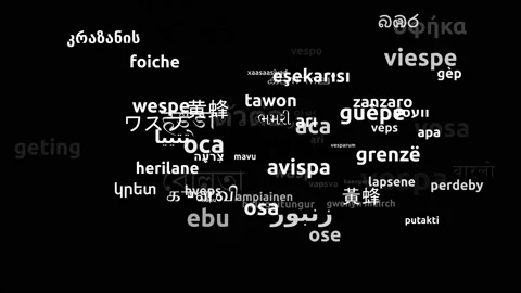Wasp Translated in 67 Worldwide Languages Endless Looping 3d Zooming Wordclou Stock Footage 145197448