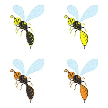 Wasp, vector wasp illustration Stock Illustration