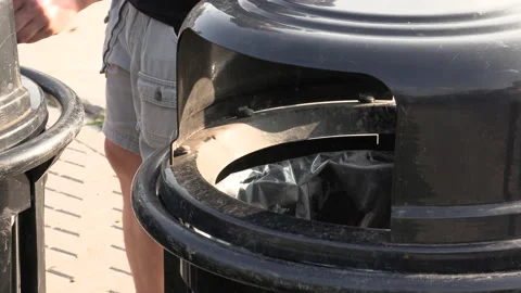 Wasps bees and hornets buzzing around garbage can on city street Stock Footage 139203456