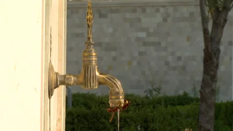 Wasps Bees drinking water dripping from a water tap Stock-Footage 329393154