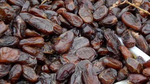 Wasps in a heap of dates in Marrakech, Morocco, on March 13th, 2014. Stock Footage 49592788