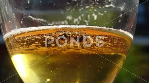Wasps that melt in the beer into which they fell. - danger of swallowing the Stock Photos