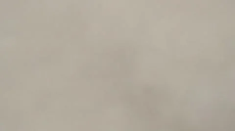 Wasps Quickly Flash Over Camera on Background Cloudy Sky View Below up Stock Footage 67231049