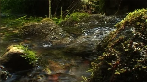 Wasser 21 Stock Footage 974315