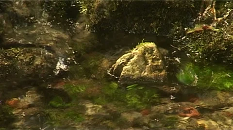 Wasser17 Stock Footage 974220