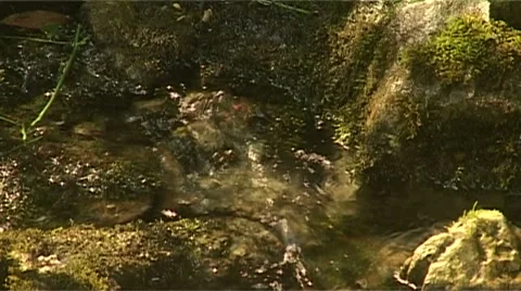 Wasser18 Stock Footage 974215