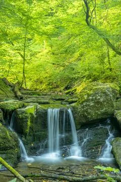 Wasserfall Ehrbachklamm Foto stock