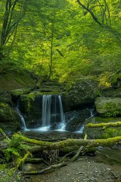 Wasserfall Ehrbachklamm Stock Photos