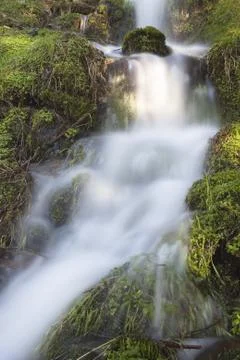 Wasserlauf Stock Photos