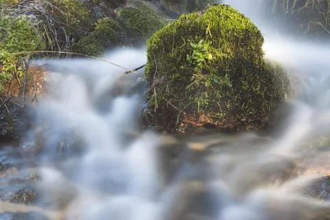 Wasserlauf Stock Photos