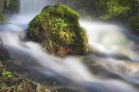 Wasserlauf Stock Photos