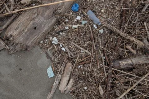 Waste on the beach Stock Photos