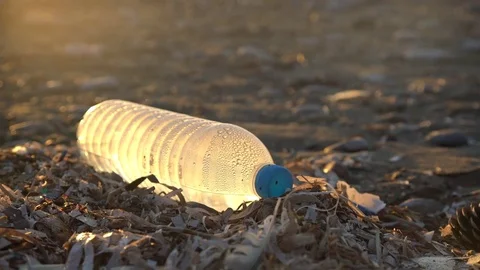 Waste at a beach: Plastic bottle. pollution of ocean Stock Footage 70807897