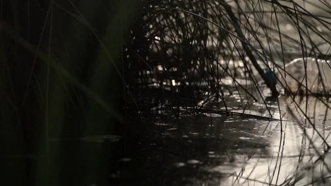 Waste bottle flowing through water reflection 60fps plastic pollution water Video stock 110776752